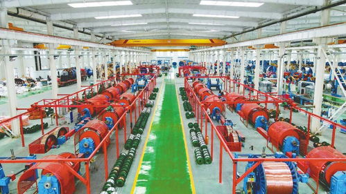 寧晉縣 打造 共享工廠 助力產業(yè)躍升